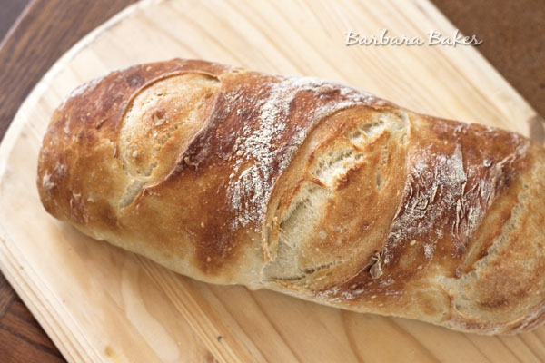 Artisan Bread in Five Minutes a Day